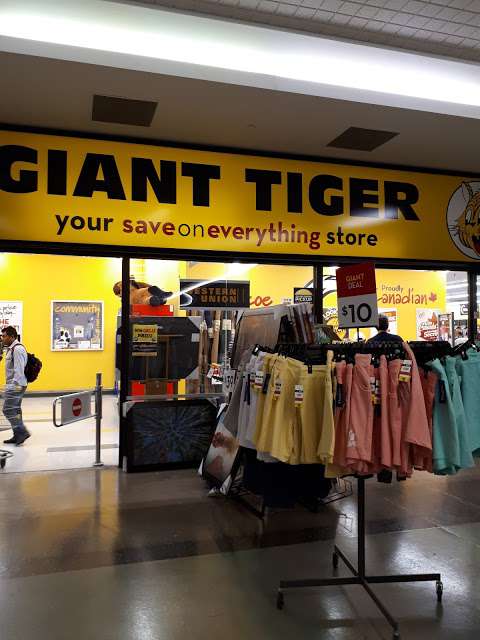 Giant Tiger